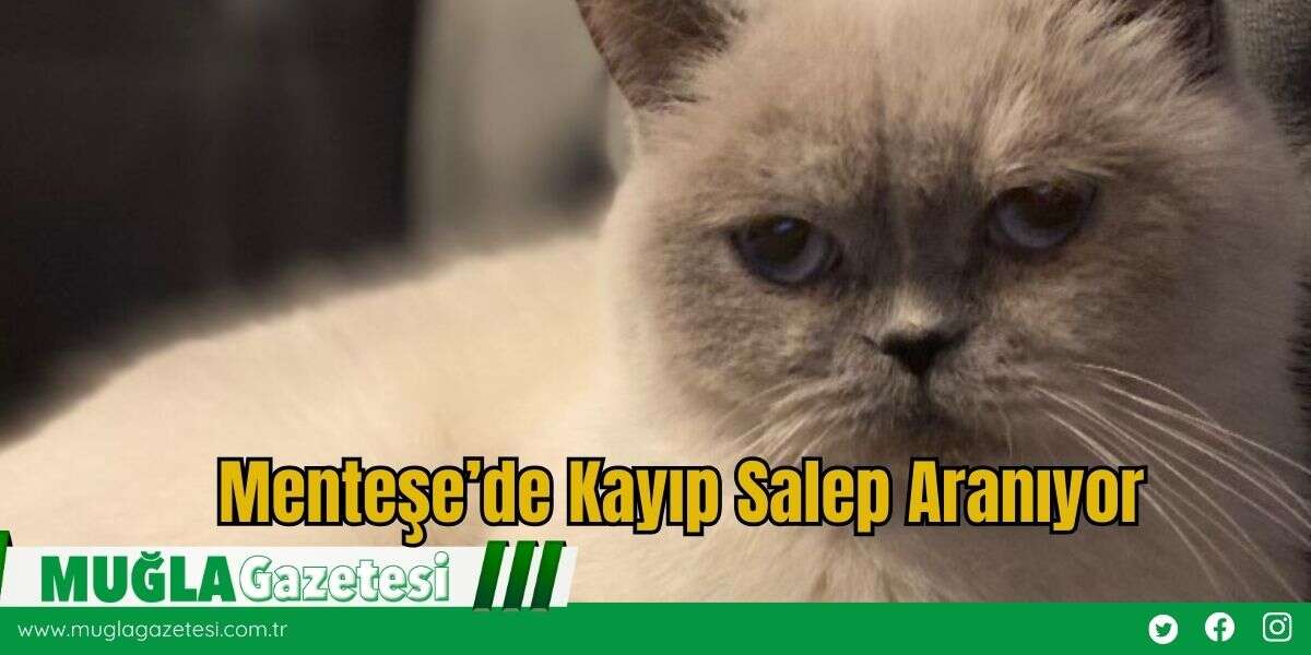 Menteşe’de Kayıp Salep Aranıyor