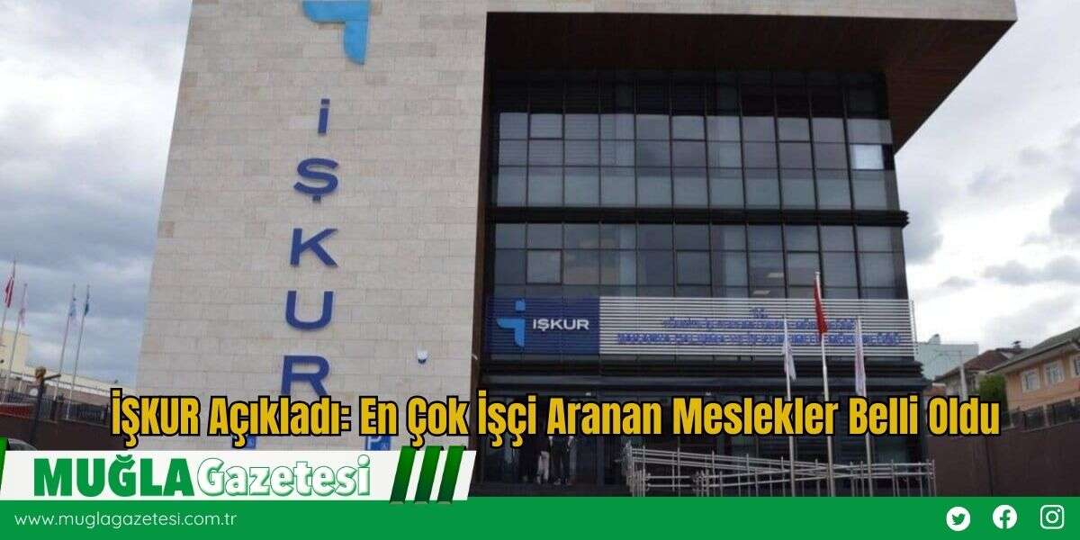 İŞKUR Açıkladı: En Çok İşçi Aranan Meslekler Belli Oldu