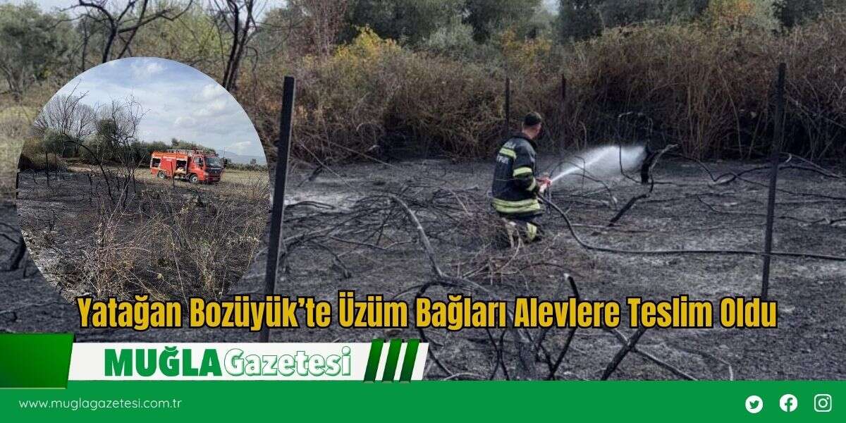 Yatağan Bozüyük’te Üzüm Bağları Alevlere Teslim Oldu
