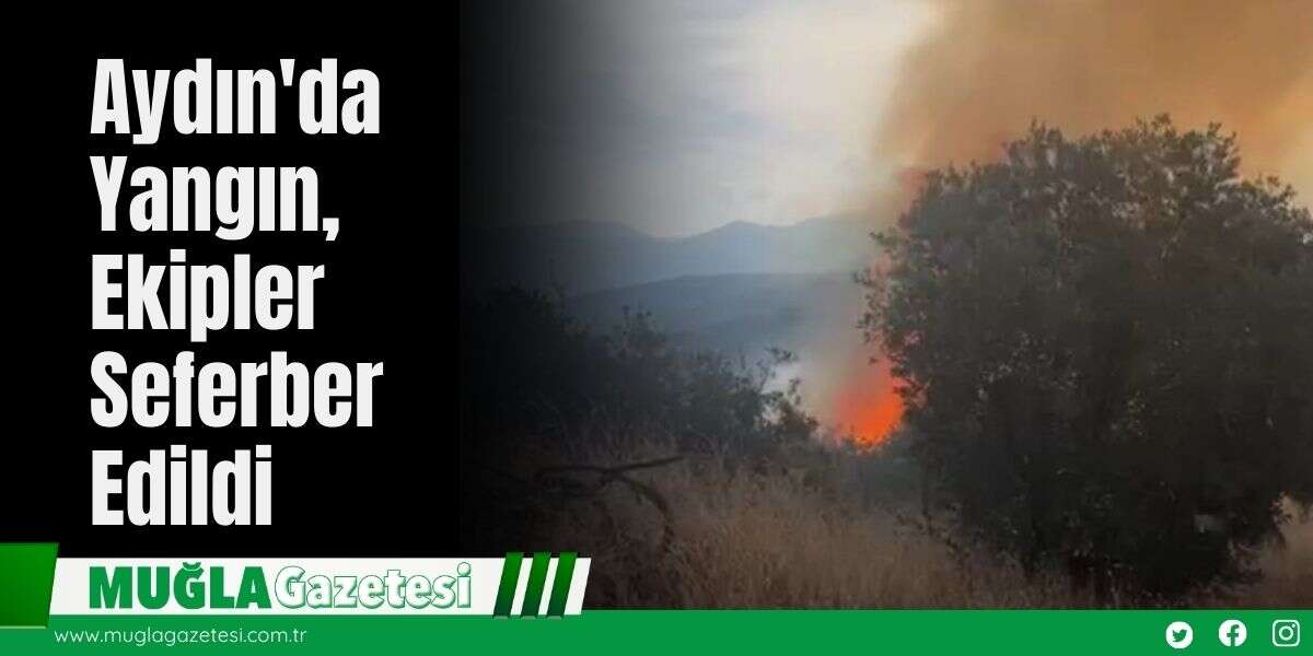 Aydın'da Yangın, Ekipler Seferber Edildi