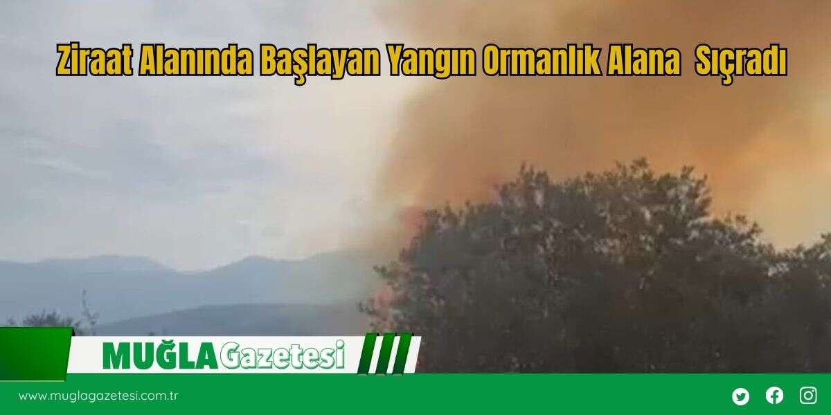 Ziraat Alanında Başlayan Yangın Ormanlık Alana  Sıçradı