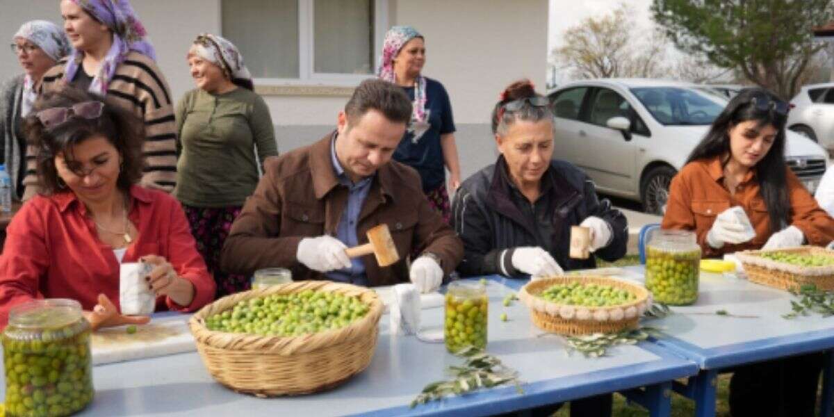 Muğla Etkileşim Günleri – Menteşe Buluşması: Öğretmenler Zeytin Kırma Etkinliğinde Bir Araya Geldi