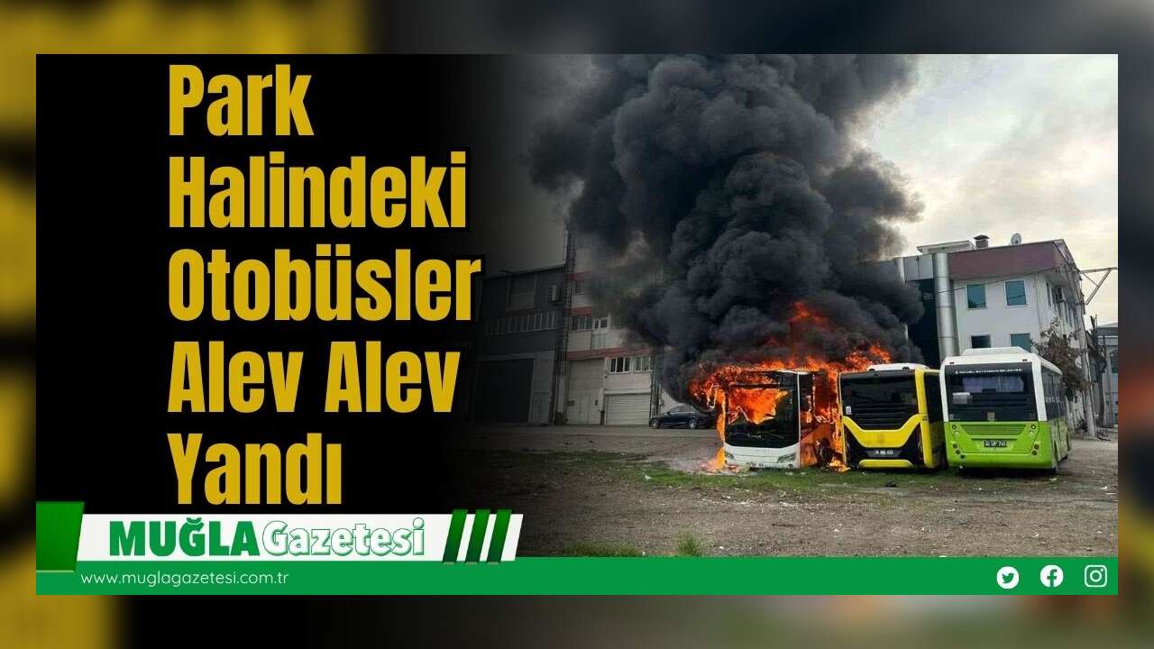 Park Halindeki Otobüsler Alev Alev Yandı