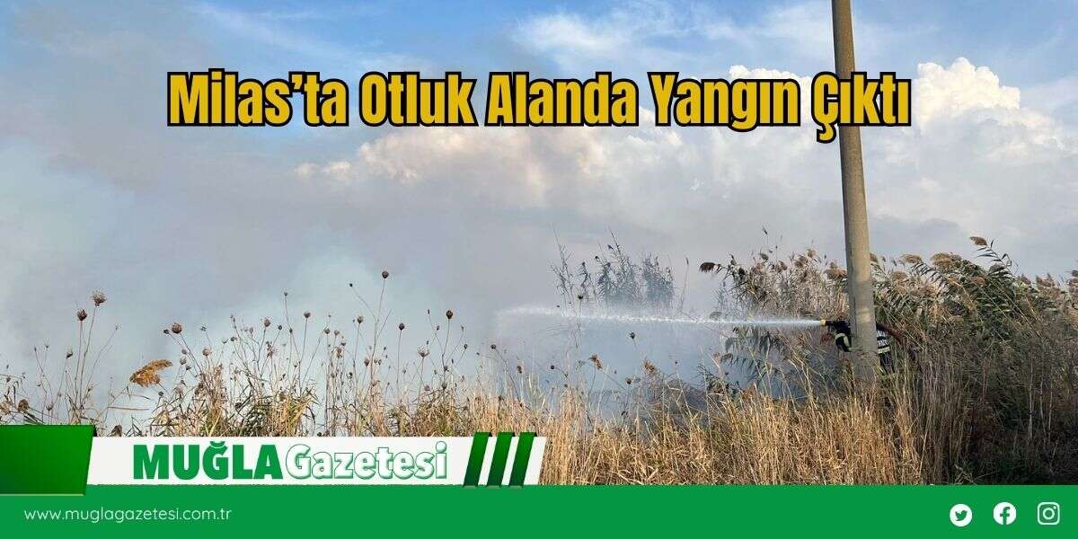 Milas’ta Otluk Alanda Yangın Çıktı