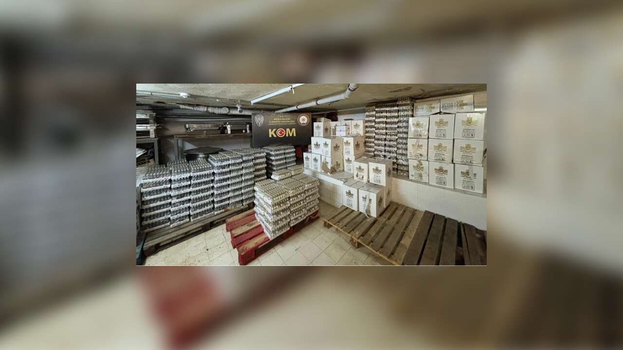 Narkotik Ekiplerinden Marmaris’te ‘Patron’ Operasyonu, Uyuşturucu Çetesinin Kadın Elebaşı Tutuklandı