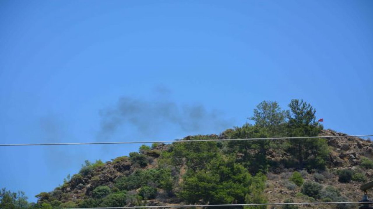 Ortaca’da orman yangını