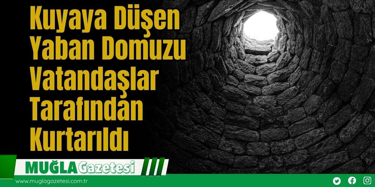 Kuyaya Düşen Yaban Domuzu Vatandaşlar Tarafından Kurtarıldı