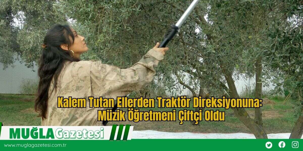 Kalem Tutan Ellerden Traktör Direksiyonuna: Müzik Öğretmeni Çiftçi Oldu