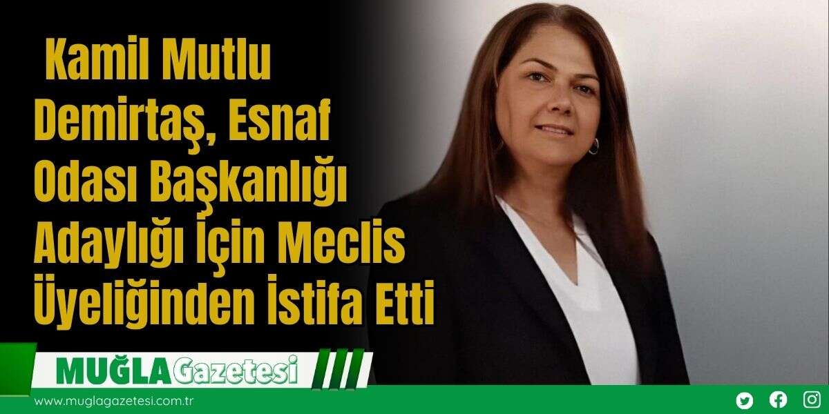 Kamil Mutlu Demirtaş, Esnaf Odası Başkanlığı Adaylığı İçin Meclis Üyeliğinden İstifa Etti