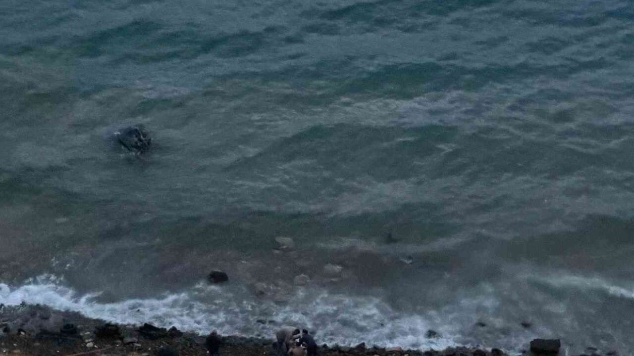 Muğla'da Kaza: Virajı Alamadı Araç Denize Uçtu: 1 Yaralı