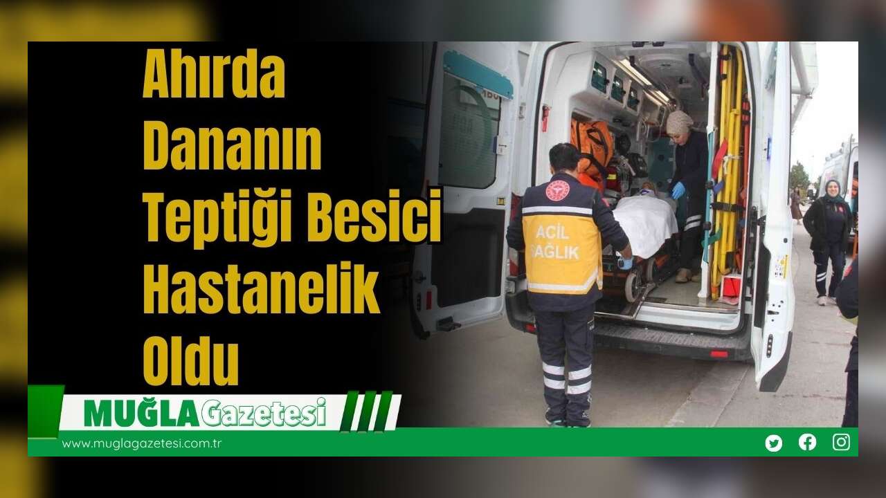 Ahırda Dananın Teptiği Besici Hastanelik Oldu