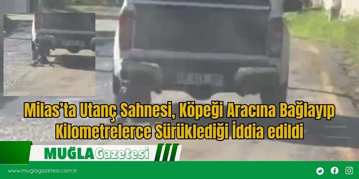 Milas’ta Utanç Sahnesi, Köpeği Aracına Bağlayıp Kilometrelerce Sürüklediği İddia edildi