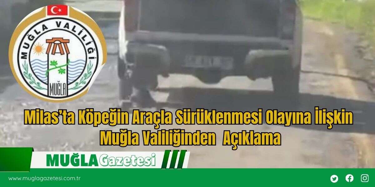 Milas’ta Köpeğin Araçla Sürüklenmesi Olayına İlişkin Muğla Valiliğinden  Açıklama
