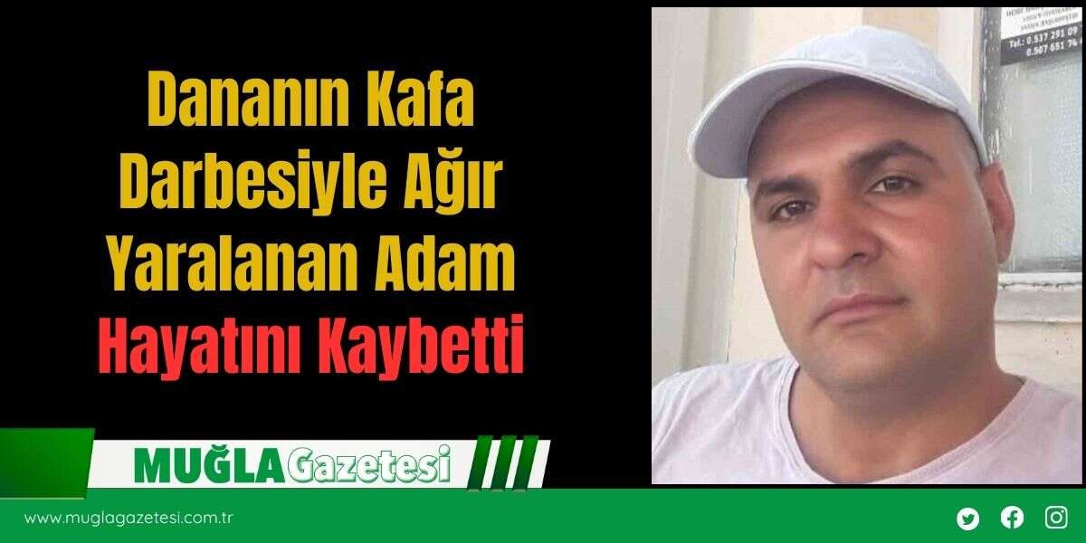 Dananın Kafa Darbesiyle Ağır Yaralanan Adam Hayatını Kaybetti