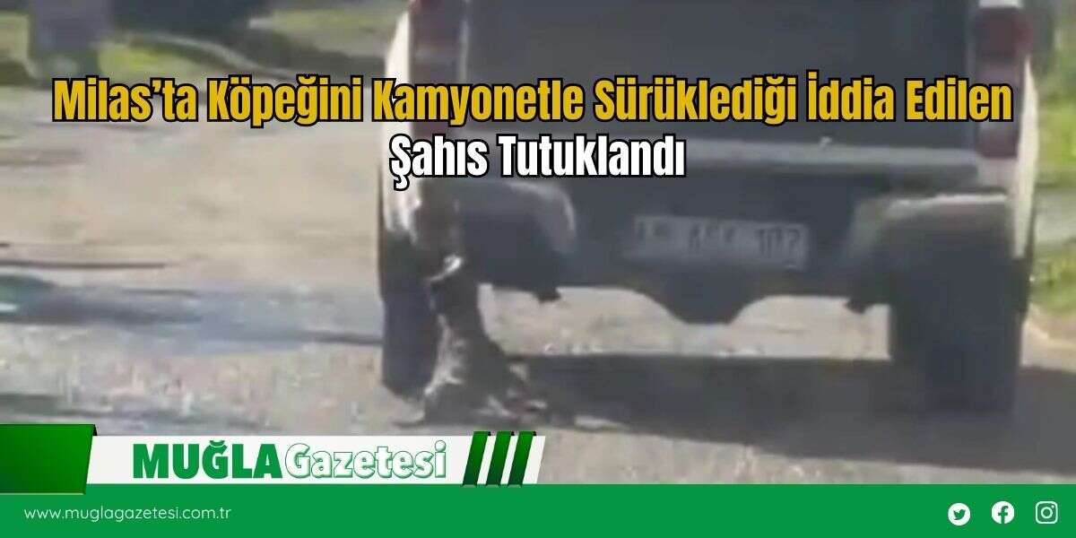 Milas’ta Köpeğini Kamyonetle Sürüklediği İddia Edilen Şahıs Tutuklandı