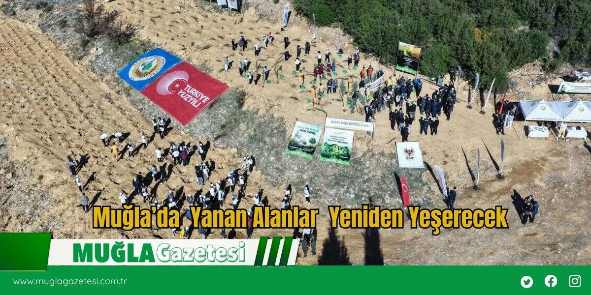 Muğla’da  Yanan Alanlar  Yeniden Yeşerecek