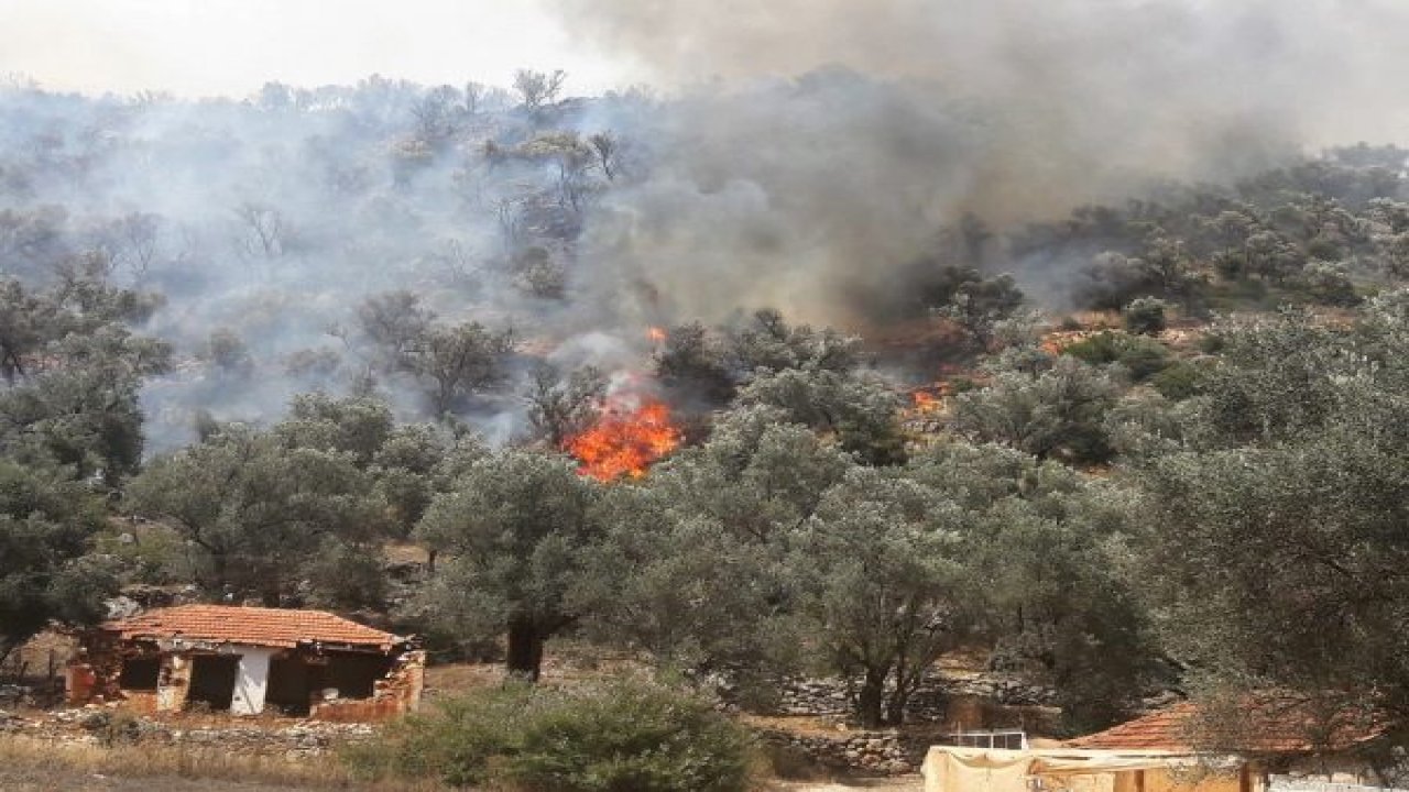 Yangın, tarım arazisinde başlayıp ormana sıçradı