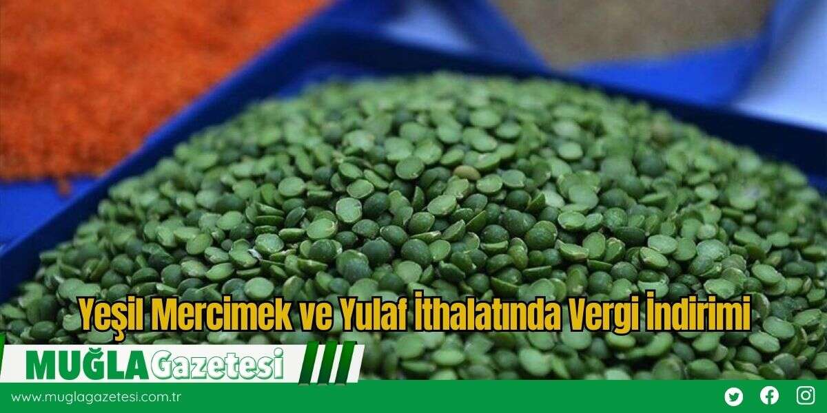 Yeşil Mercimek ve Yulaf İthalatında Vergi İndirimi