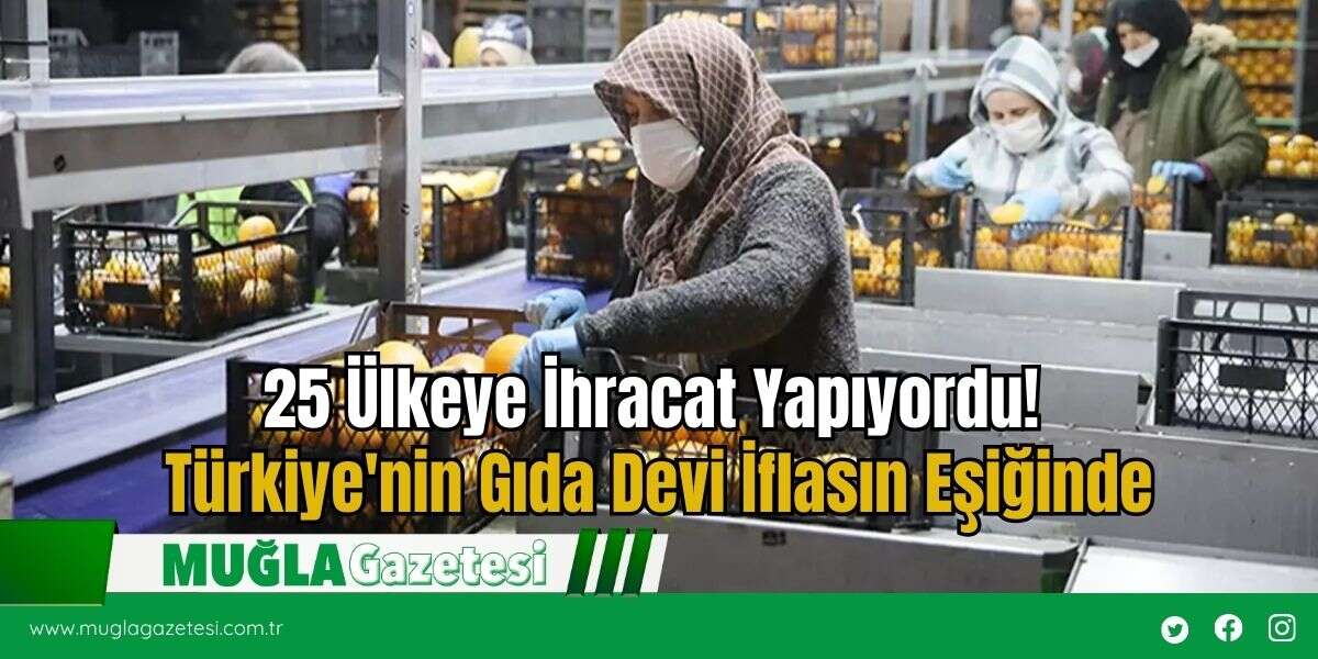 25 Ülkeye İhracat Yapıyordu! Türkiye'nin Gıda Devi İflasın Eşiğinde