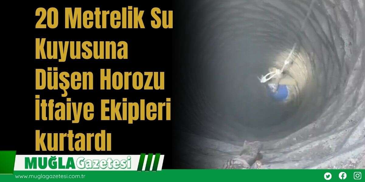 20 Metrelik Su Kuyusuna Düşen Horozu İtfaiye Ekipleri kurtardı