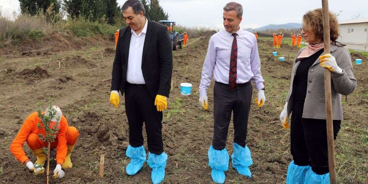 Dalaman Açık Ceza İnfaz Kurumunda 10 Dekar Alana Sakız Ağacı Fidanı Dikildi