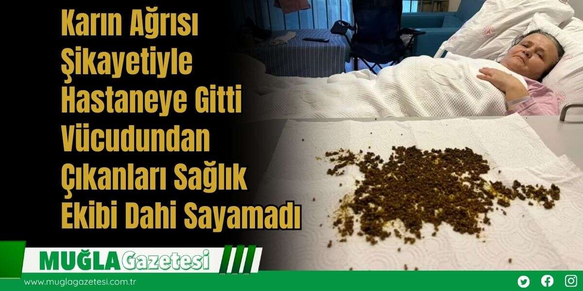 Karın Ağrısı Şikayetiyle Hastaneye Gitti, Vücudundan Çıkanları Sağlık Ekibi Dahi Sayamadı