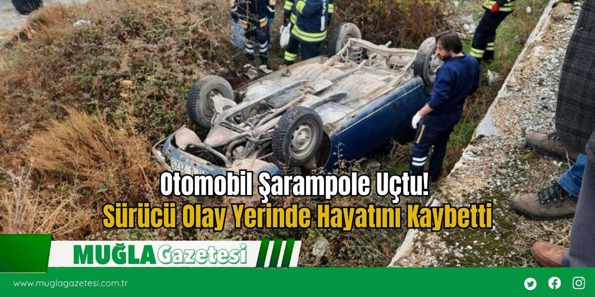 Otomobil Şarampole Uçtu! Sürücü Olay Yerinde Hayatını Kaybetti