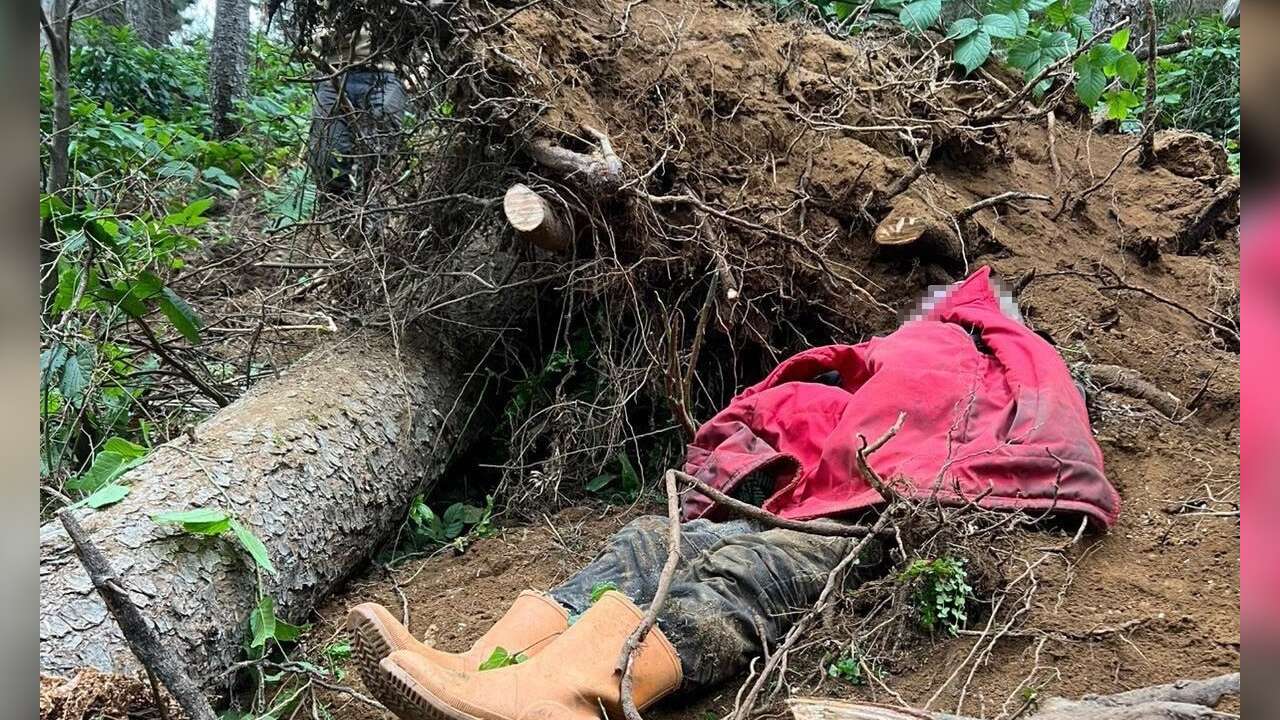 Kestiği Ağacın Altında Kaldı Hayatını Kaybetti