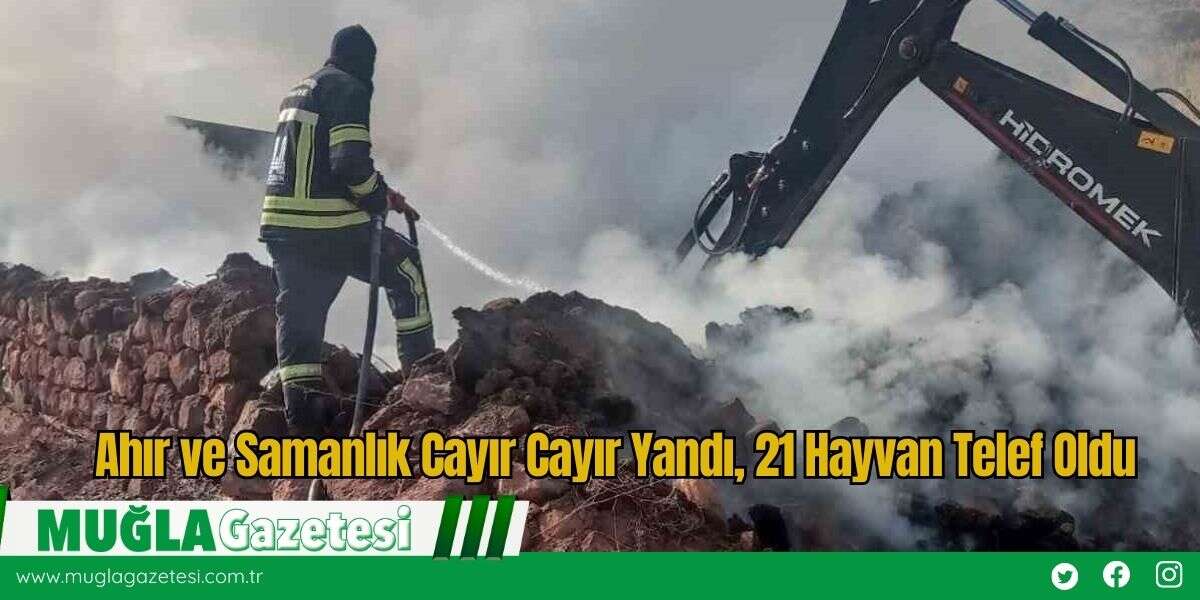 Ahır ve Samanlık Cayır Cayır Yandı, 21 Hayvan Telef Oldu