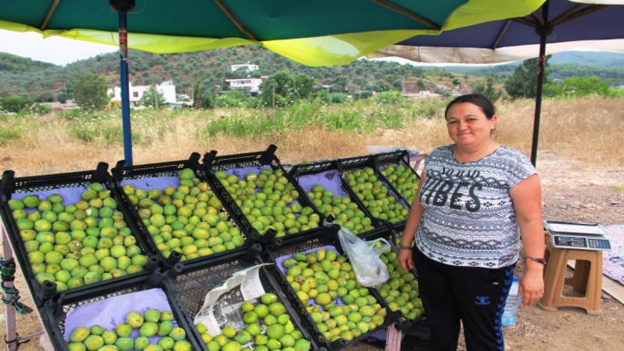 Manisa inciri tezgahlardaki yerini aldı