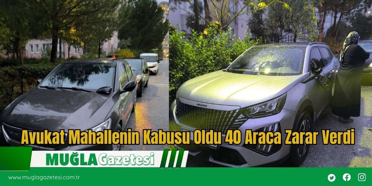 Avukat Mahallenin Kabusu Oldu 40 Araca Zarar Verdi
