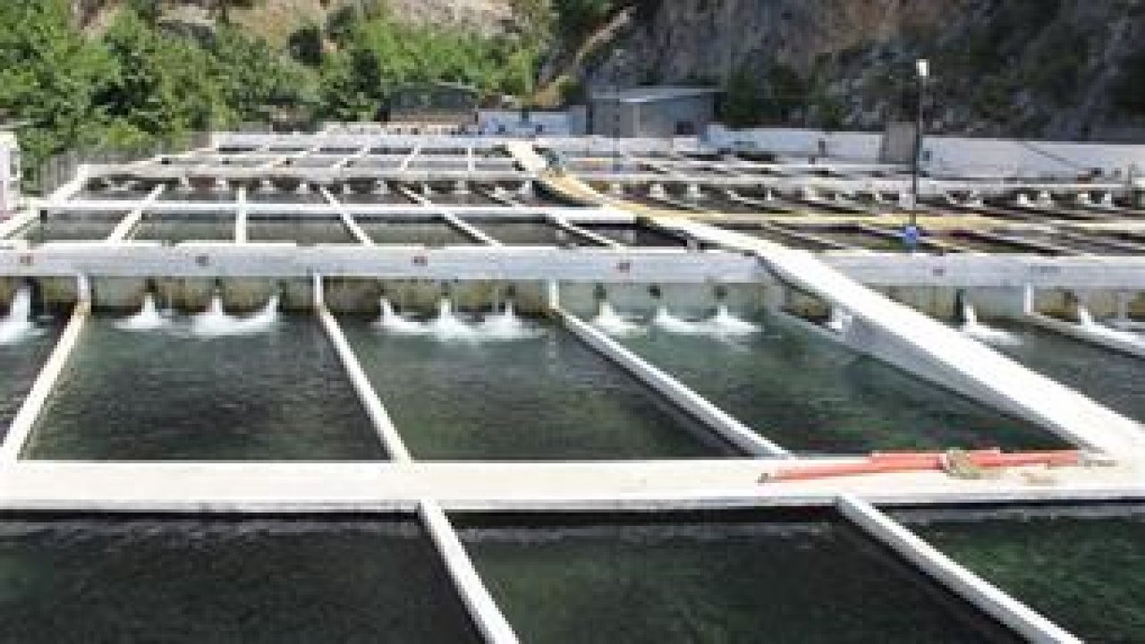 Alabalık Tesis Denetimleri Ve Yetiştirici Eğitimleri sürüyor