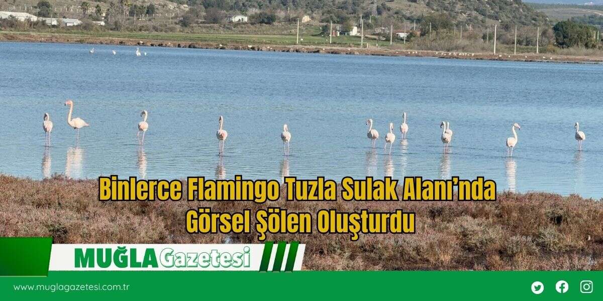 Binlerce Flamingo Tuzla Sulak Alanı’nda Görsel Şölen Oluşturdu