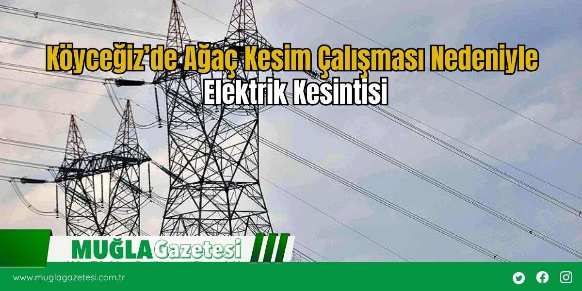Köyceğiz’de Ağaç Kesim Çalışması Nedeniyle Elektrik Kesintisi