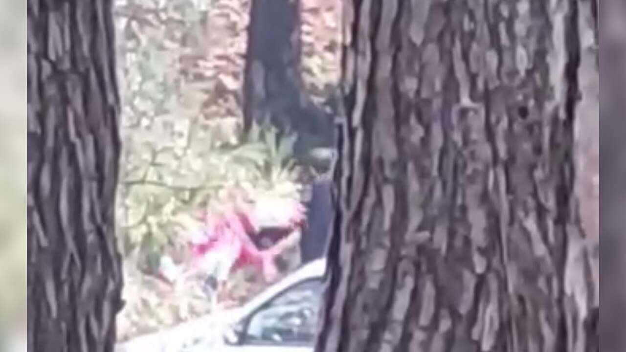 Ormanlık Alanda Kadına Şiddet: Saldırgan Her Yerde Aranıyor