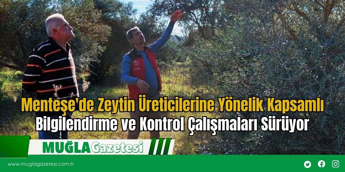 Menteşe'de Zeytin Üreticilerine Yönelik Kapsamlı Bilgilendirme ve Kontrol Çalışmaları Sürüyor