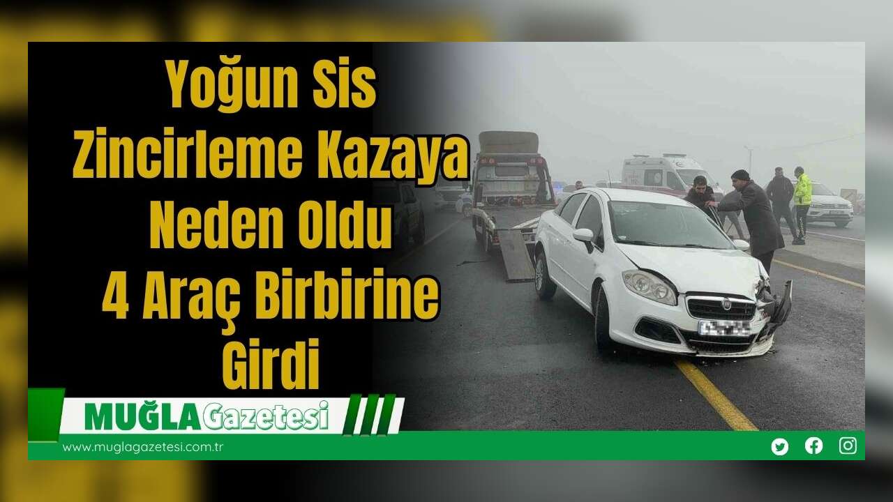 Yoğun Sis Zincirleme Kazaya Neden Oldu: 4 Araç Birbirine Girdi