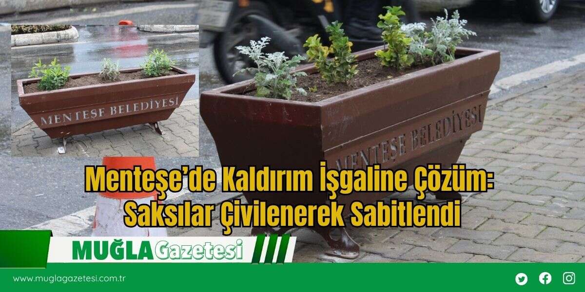 Menteşe’de Kaldırım İşgaline Çözüm: Saksılar Çivilenerek Sabitlendi