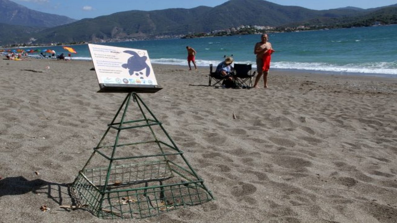 Caretta carettaların denize yolculuğu başladı