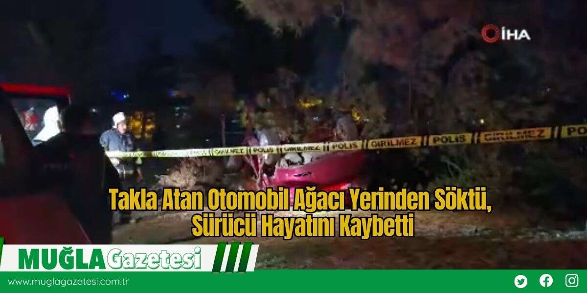 Takla Atan Otomobil Ağacı Yerinden Söktü, Sürücü Hayatını Kaybetti