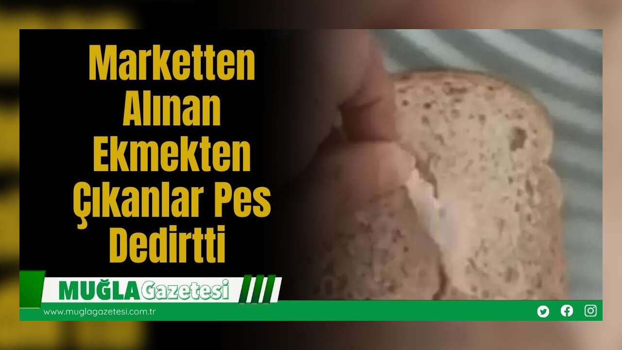 Marketten Alınan Ekmekten Çıkanlar Pes Dedirtti