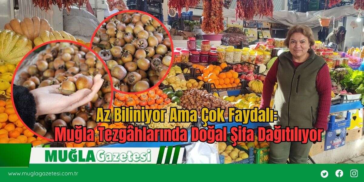 Az Biliniyor Ama Çok Faydalı: Muğla Tezgâhlarında Doğal Şifa Dağıtılıyor