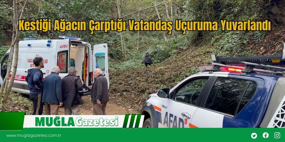 Kestiği Ağacın Çarptığı Vatandaş Uçuruma Yuvarlandı