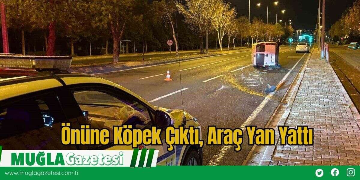 Önüne Köpek Çıktı, Araç Yan Yattı