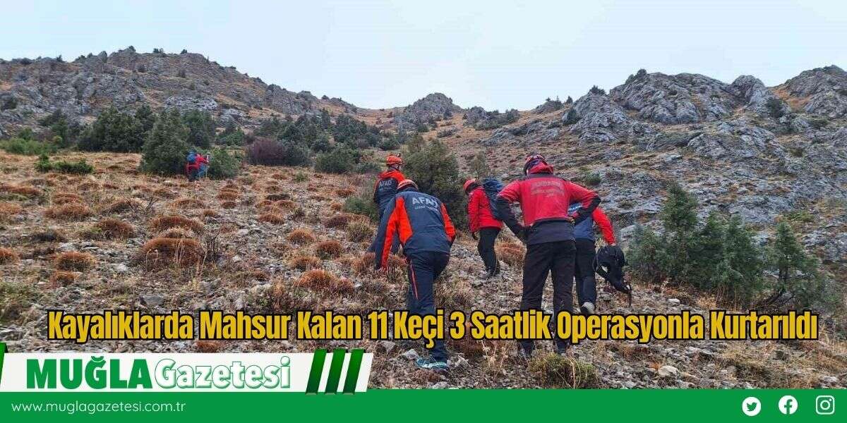 Kayalıklarda Mahsur Kalan 11 Keçi 3 Saatlik Operasyonla Kurtarıldı