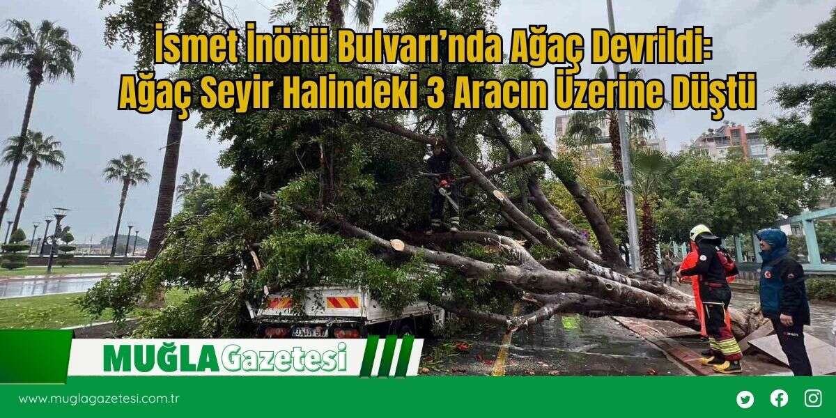 İsmet İnönü Bulvarı’nda Ağaç Devrildi: Ağaç Seyir Halindeki 3 Aracın Üzerine Düştü
