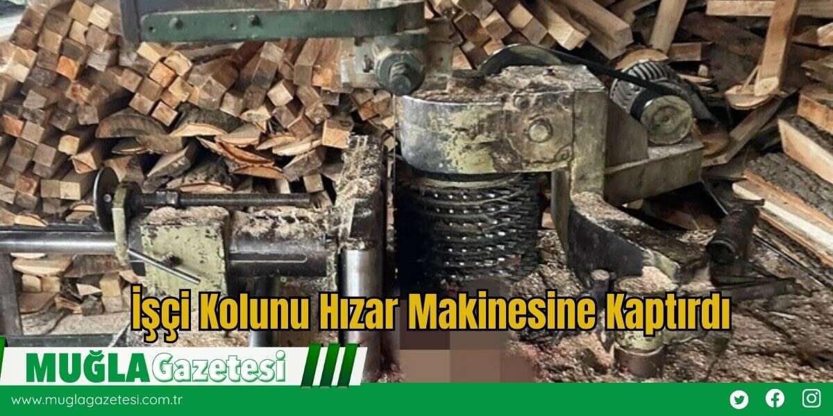 İşçi Kolunu Hızar Makinesine Kaptırdı