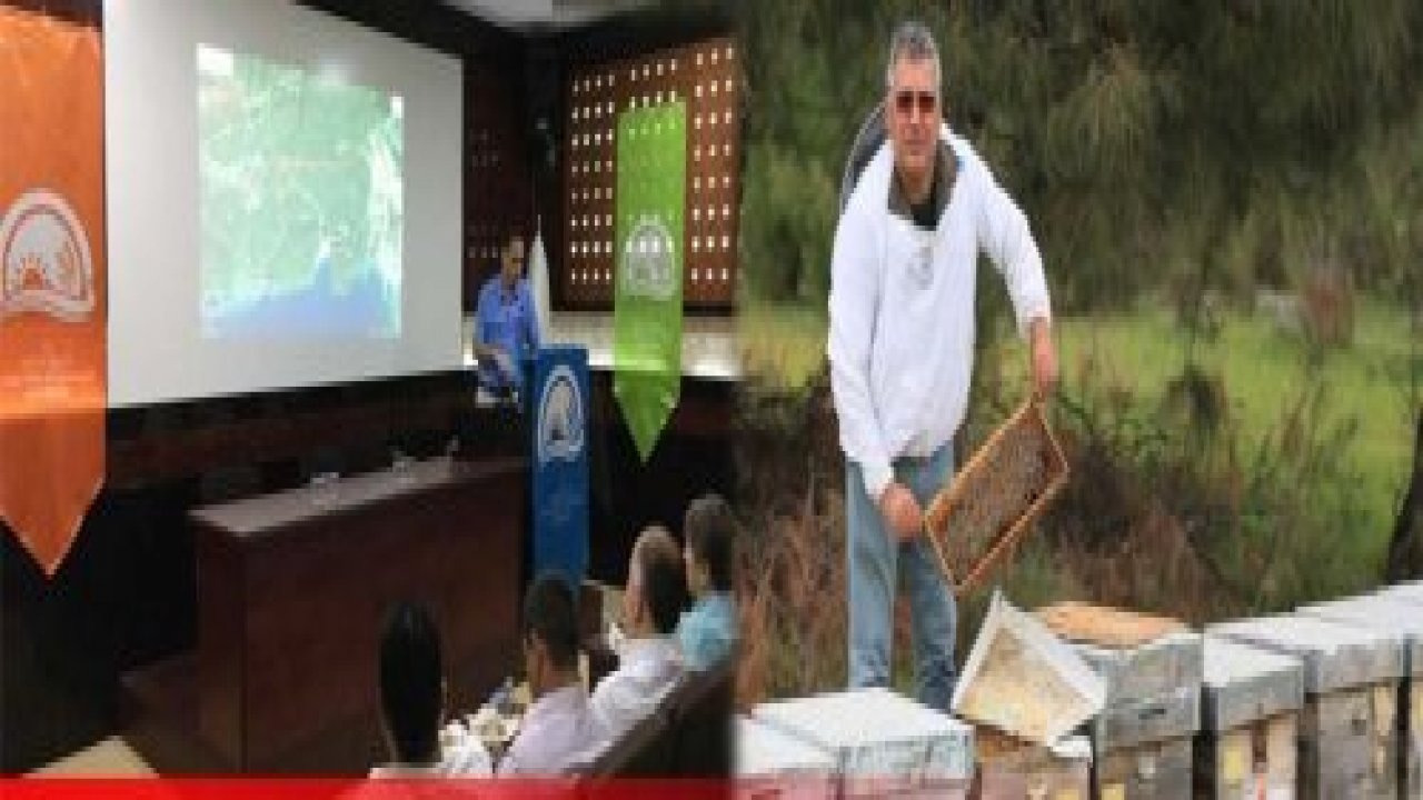 Arı Konaklama Projesi Türkiye’ye örnek oldu