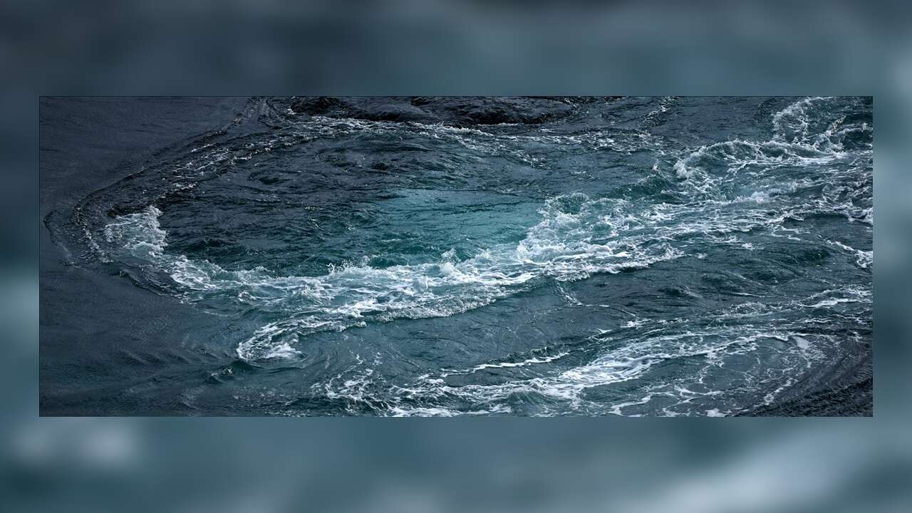 Vatandaş İhbar Etti, Ekipler Ulaştı: Denizden C*set Çıktı