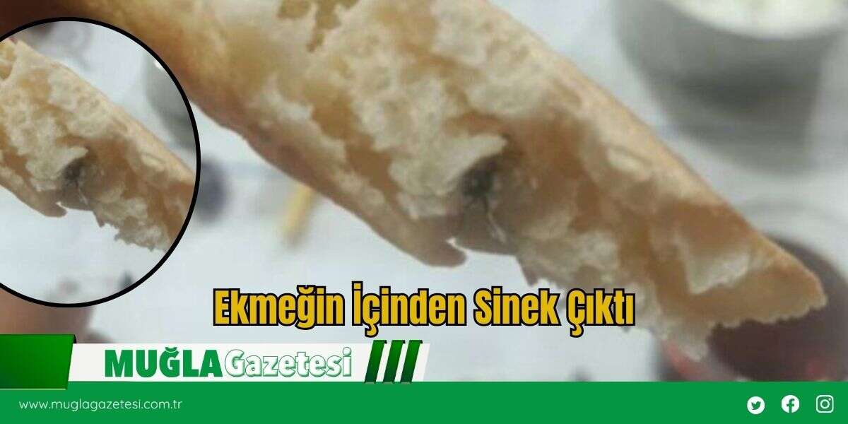 Ekmeğin İçinden Sinek Çıktı